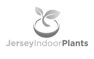 Jersey Indoor Plants Logo